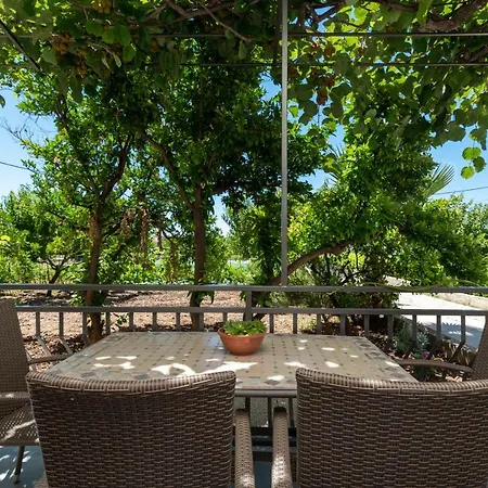 Kiwi * トロギール