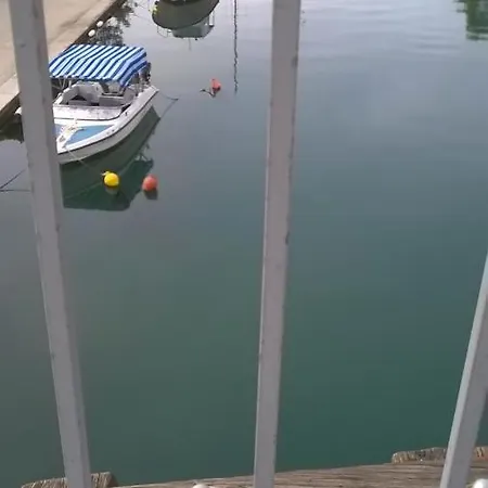 Kiwi *